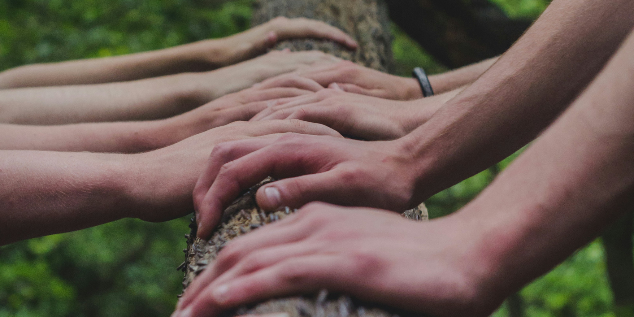 Eine Gruppe von Menschen die sich auf einem Baum an den Händen halten